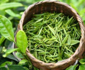 品味桂平西山茶 解鎖日常沖泡的最佳方式