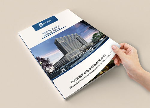 財(cái)務(wù)公司畫冊(cè)設(shè)計(jì)與企業(yè)形象策劃——代理做賬公司宣傳冊(cè)設(shè)計(jì)制作欣賞