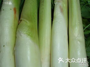 布吉農(nóng)產(chǎn)品批發(fā)市場 粵港澳大灣區(qū)“菜籃子”的樞紐與變遷