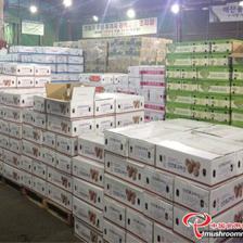 平泉市“瀑河源”榮膺全國食用菌行業(yè)優(yōu)秀品牌，樹立產(chǎn)業(yè)新標(biāo)桿